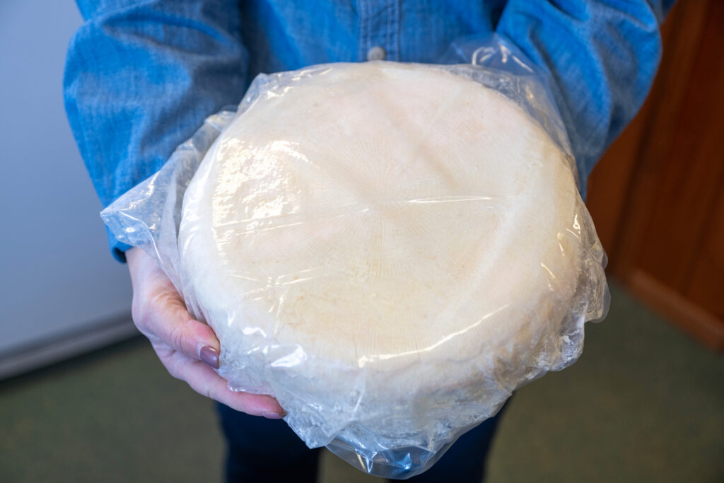 Wheel of cheese in plastic